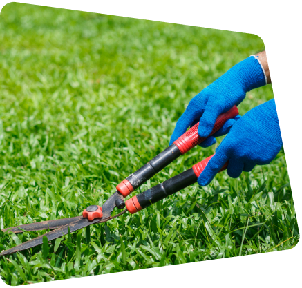 artificial turf maintainance