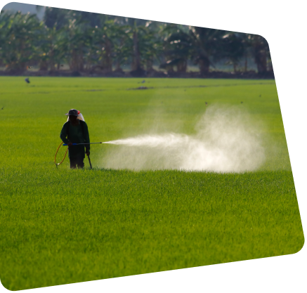 artificial turf maintainance